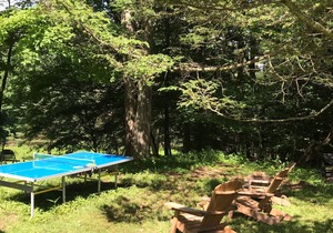 Seasonal Cottages Colony With Outdoor Swimming Pool
