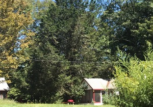 Seasonal Cottages Colony With Outdoor Swimming Pool