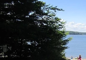 Seasonal Cottages Colony with outdoor swimming pool