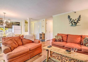 Ski-In and Ski-Out Peru Condo at Bromley Mountain