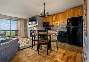 South Branch Condo 21-2 - Nice ski-in ski-out condo at Saddleback