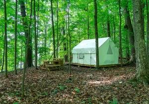 Tentrr State Park Site - Mills Norrie State Park Site C