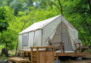 Tentrr State Park Site - WV Lost River State Park - Wooded Wilderness C - Single