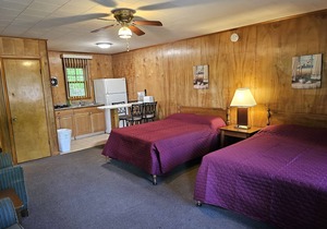 The Gold Eagle Cottage 4