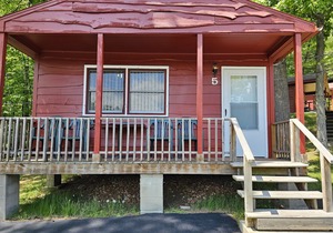 The Gold Eagle Cottage 5