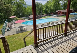 The Gold Eagle Cottage 12