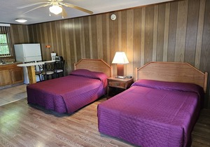 The Gold Eagle Cottage 10