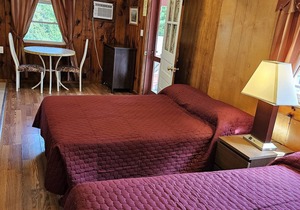 The Gold Eagle Cottage 6
