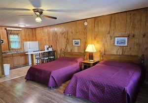 The Gold Eagle Cottage 3