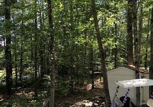 Three Bedroom Cottage in Point Sebago