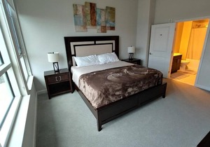 Upscale 2 Bedroom Apartment Tysons