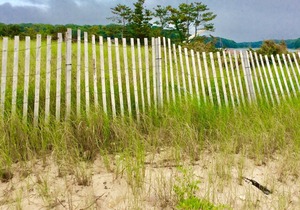 Walk to private beach in Clearwater