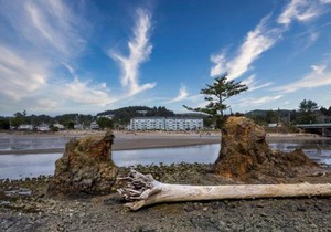 Waters Edge 402