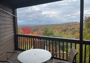Winterplace Condo D306