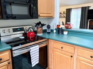 Woodland Pines | Intervale