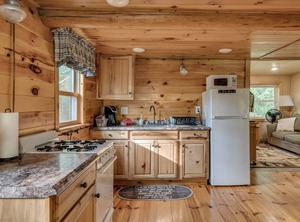 Adirondack Rentals Of | Brantingham