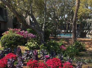 Ocean Club Hilton Head Island | Hilton Head Island