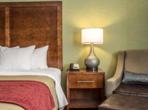 Clarion Pointe Jamestown Falconer | Jamestown