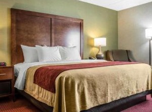 Clarion Pointe Jamestown Falconer | Jamestown