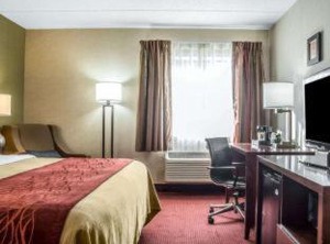 Clarion Pointe Jamestown Falconer | Jamestown