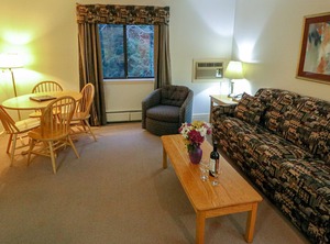 Efficiency Sofa | West Bridgewater