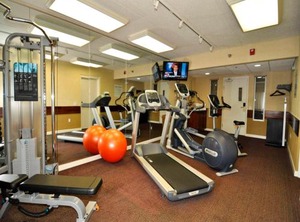 Holiday Inn Express Hotel Stes Port Island Ihg | Gypsum