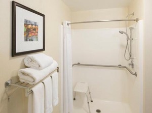 Holiday Inn Express East Greenbush Albany Skyline Ihg Hotel | Rensselaer