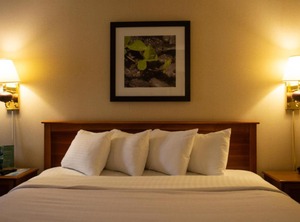 Holiday Lodge Hotel Conference | Summerlee