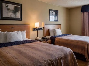 Stay Hotel Chester | Bermuda