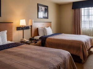 Stay Hotel Chester | Bermuda