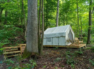 Tentrr State Park Site Mills | Staatsburg