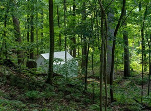 Tentrr State Park Site Mills | Staatsburg