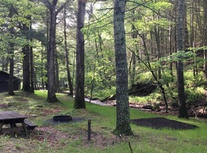 Tentrr State Park Site Wv River Wooded Wilderness | Mathias