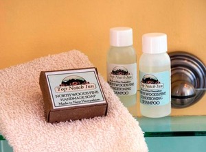 Top Notch Inn | Upper Village