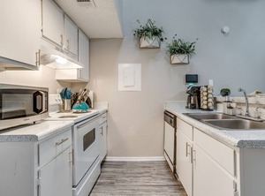 Comfort Arlington | Central Arlington