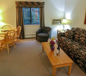 Efficiency Sofa 