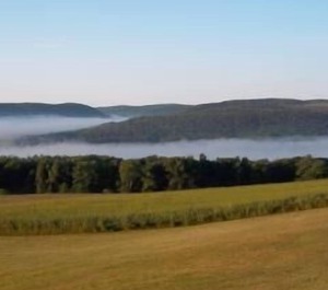 Enchanted Valley 
