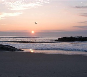 The Ocean 