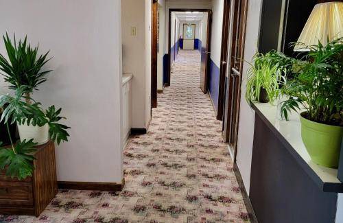 South Burlington Hotel | 26 m² Hotel ∙ 7 guests