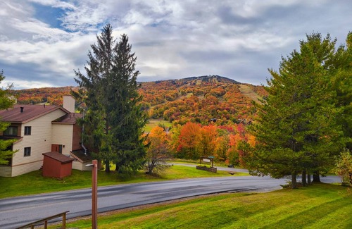 West Dover Apartment | 28 m² Aparthotel ∙ 1 bedroom ∙ 2 guests