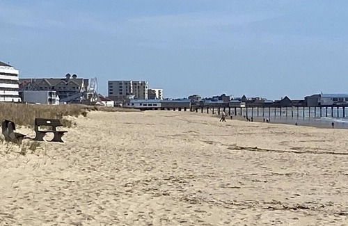 Ocean Park Condo | Come enjoy 7 miles of beaches in sunny OOB in this 2 bedroom condo!