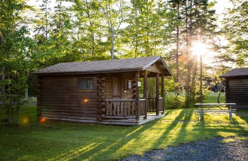 Trenton Resort | Narrows Too Camping Resort Cabin 7