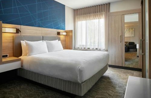 Dover Hotel | SpringHill Suites by Marriott Frederica