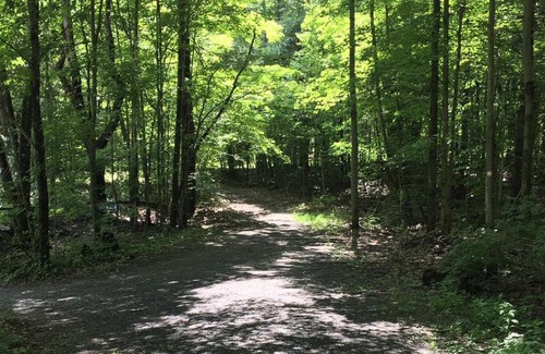 Hollowville Other | Tentrr Signature Site - Honey Pot Farm Pond Paradise