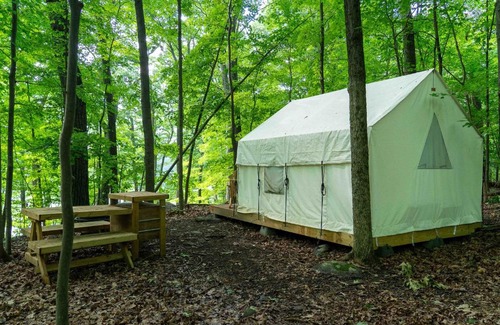Staatsburg Other | Tentrr State Park Site - Mills Norrie State Park Site C