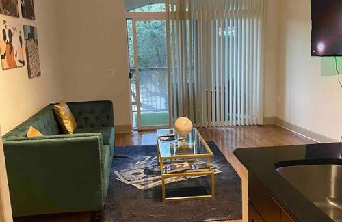 Texas Medical Center Apartment | The Money Hou$e