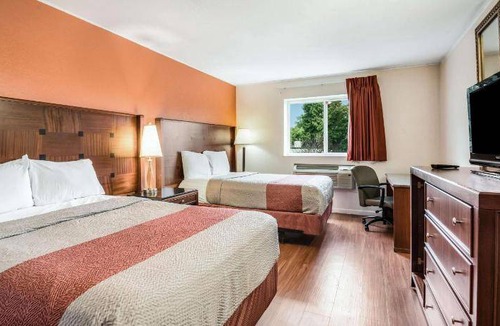 Neptune City Hotel | 19 m² Hotel ∙ 4 guests