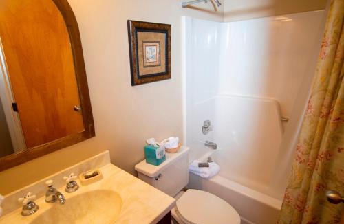 Ludlow Apartment | 1Br Ski-in, Ski-Out at Okemo Mountain Lodge condo