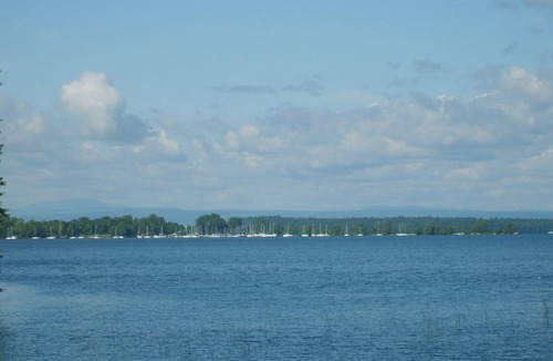North Hero Cottage | 2-waterfront cottages together sleep10+ and have no other house in sight PRIVACY