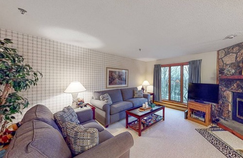 Stratton Mountain Condo | 76 m² Condo ∙ 1 bedroom ∙ 4 guests